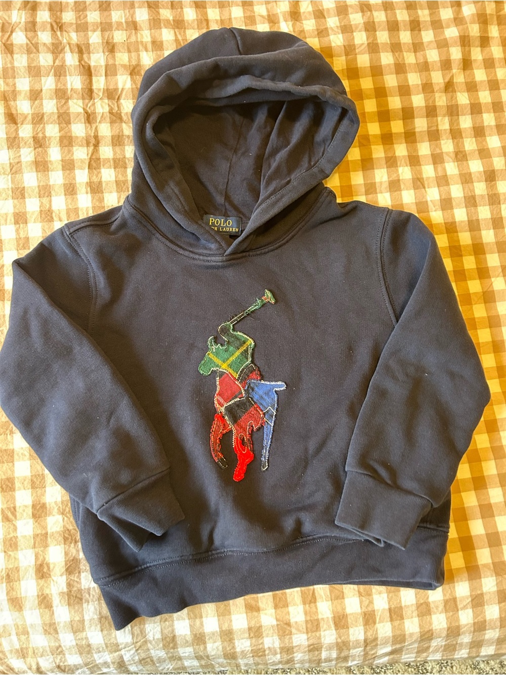 Polo by Ralph Lauren Kids Hoodie